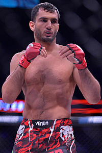 Gegard 'The Dreamcatcher' Mousasi